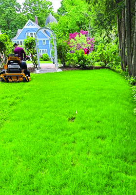 Landscape Maintenance