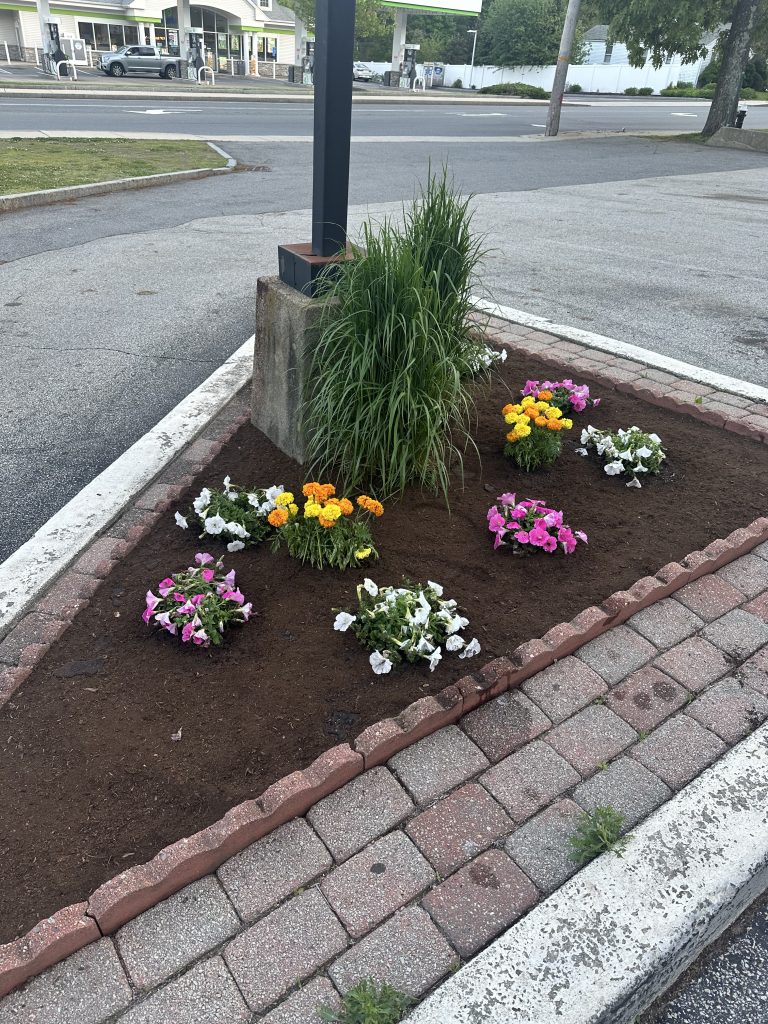 Planting Annuals - Lexington, MA