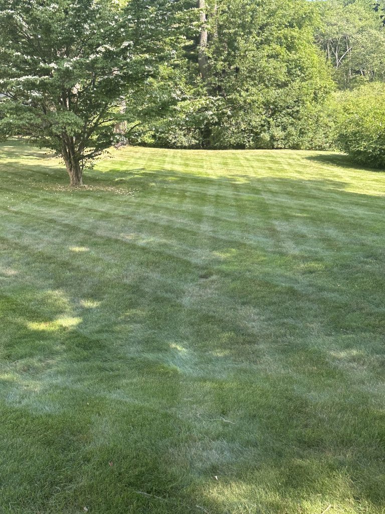 Freshly Cut Grass