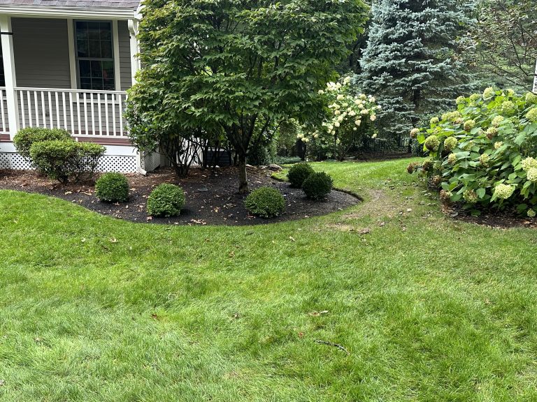 Plantings, Lexington, MA