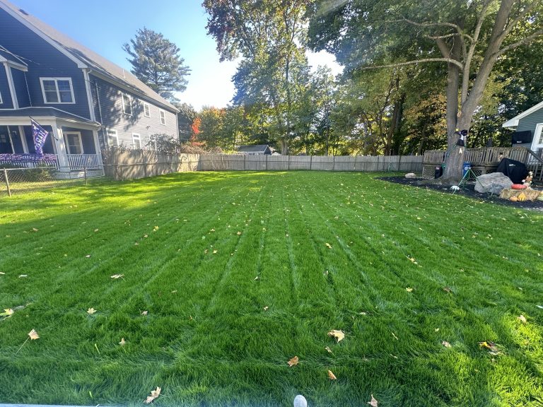 New Lawn - Billerica MA