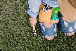 Spring Lawn Care guide