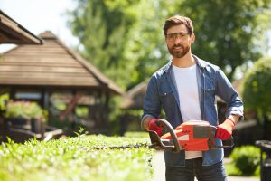 Spring lawn cleanup