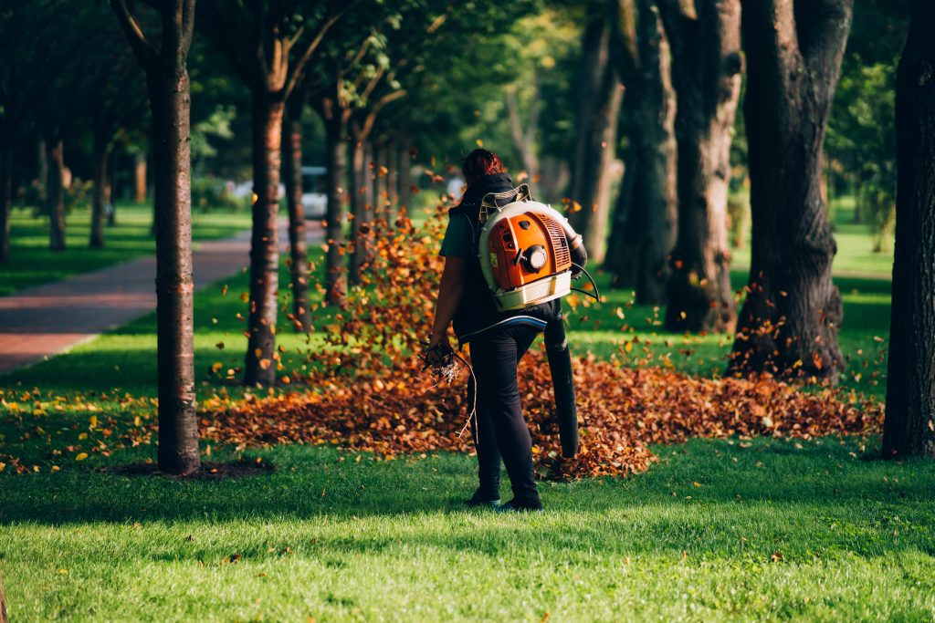 Spring Lawn Care guide