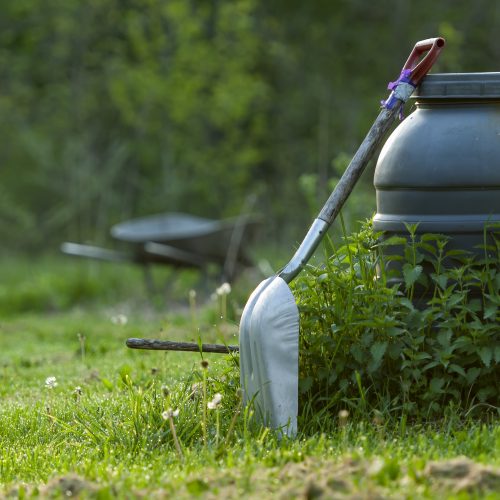 Lawn Aeration