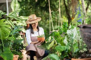 Choosing the right plants for landscaping success