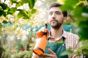 Summer weed control