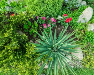 Summar landscaping tips for homeowners.